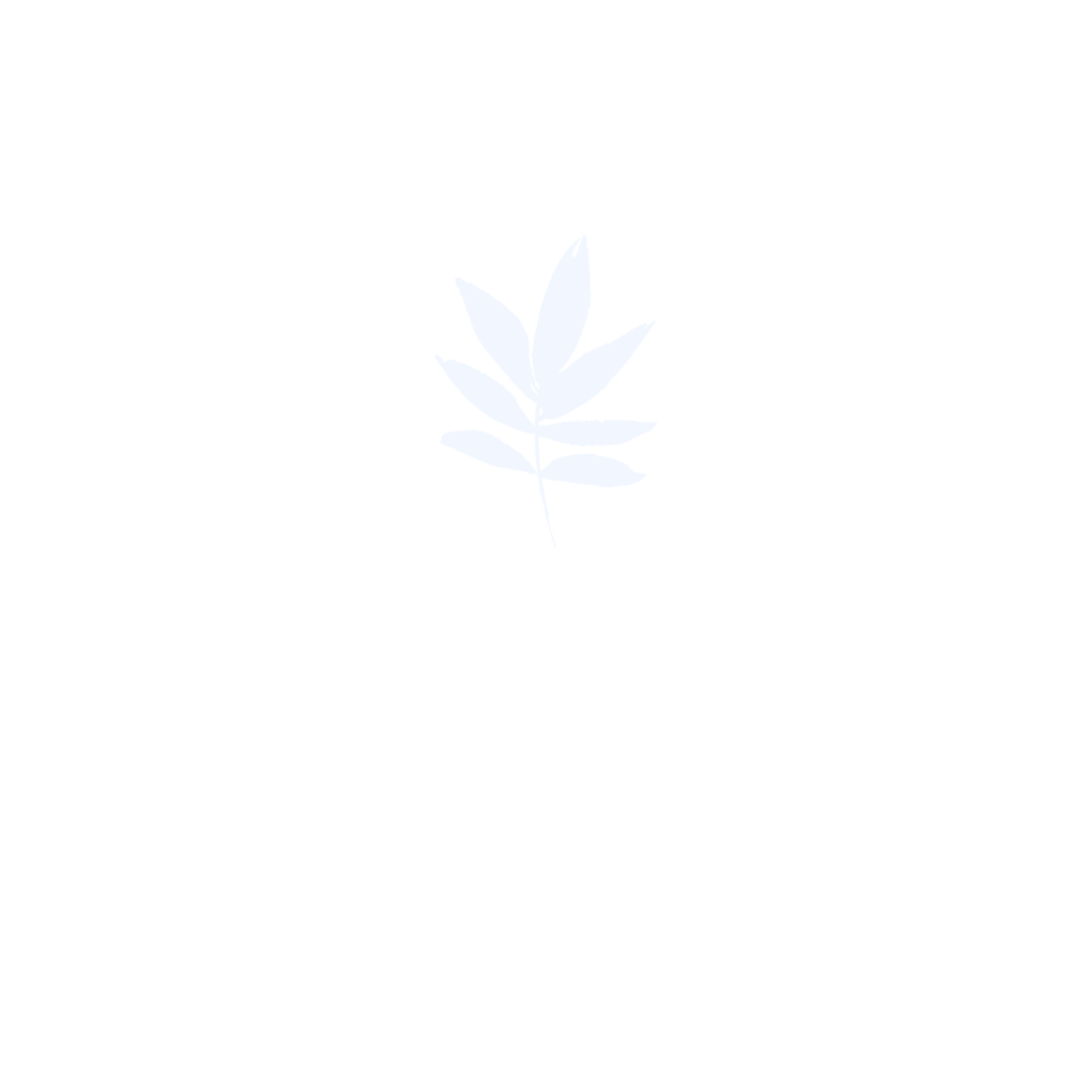 Herbis Natural Cosmetics
